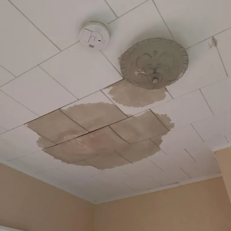Ceiling Water Damage Repair in Pampa, TX