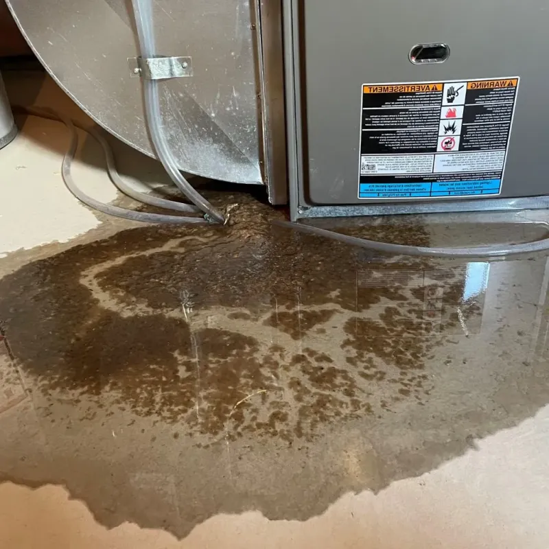 Pipe Burst and Leak Restoration in Pampa, TX