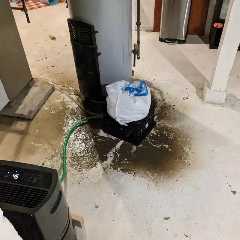 Sewage Backup Cleanup Service in Pampa, TX